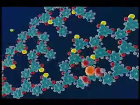 Reverse Osmosis Theory of Operation: Membrane Element Understanding