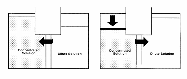 Overview-of-Osmosis